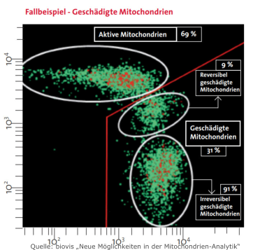 Quelle: biovis „Neue Möglichkeiten in der Mitochondrien-Analytik“