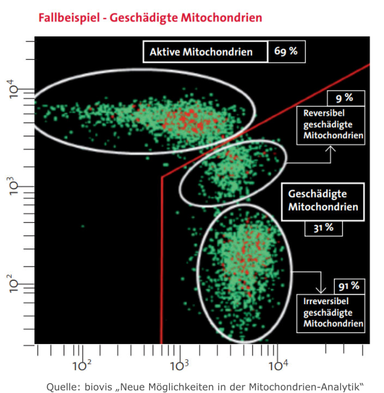 Heikpraktiker Bonn Mitochondrien