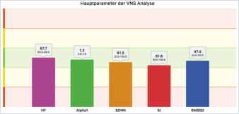 VNS-Analyse-Hauptparameter
